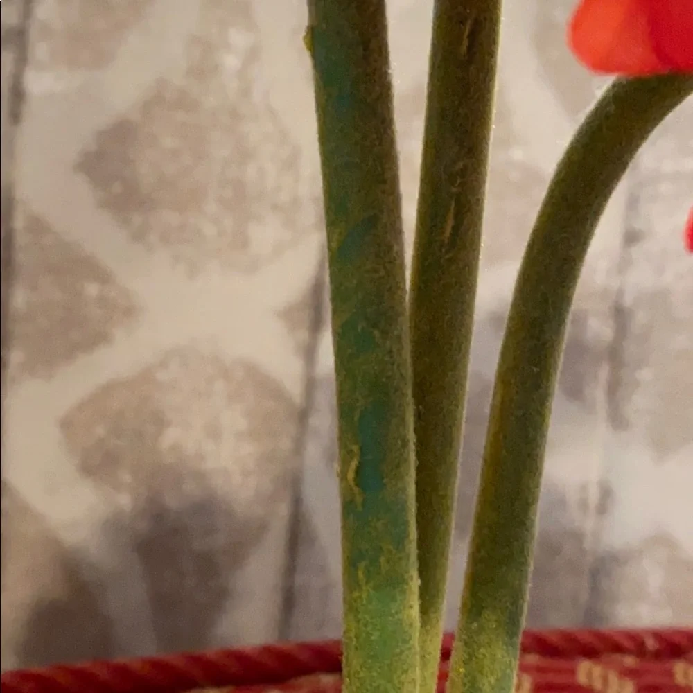 Red-Orange Daisy in Yellow Pot Centerpiece